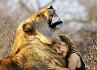 Kiedy wejdzie cyfrowa waluta? Kiedy wejdzie cyfrowa waluta?