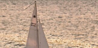 Jakie pracę można wykonywać zdalnie?