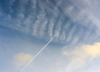 Na co można iść po Biol-Chem?