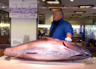 Które z wymienionych są cechami hurtowni danych? Które z wymienionych są cechami hurtowni danych?